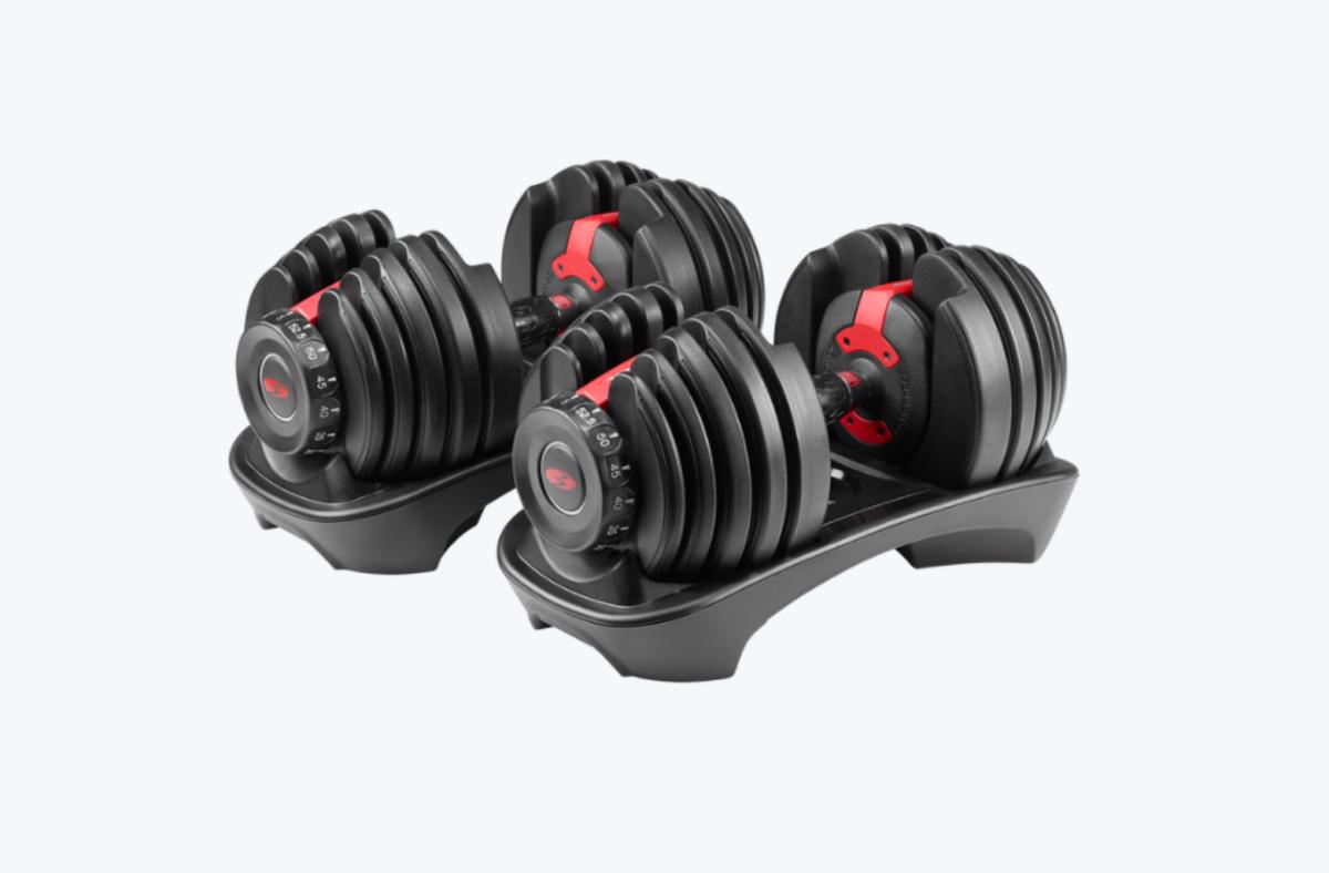 Bowflex SelectTech 552 Dumbbells